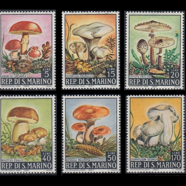 1967 San Marino Mushroom Postage Stamps / Toadstools for Fairy Tale Altered Book, Gardening Junk Journal, Nature Glue Book, Funghi ACEO