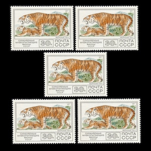 May include: Four vintage postage stamps featuring a Siberian tiger and cub. The stamps are from the Soviet Union and are dated 1977. The stamps are green, white, and red with the text "ОХРАНЯЕМЫЕ МЛЕКОПИТАЮЩИЕ ФАУНЫ СССР" and "АМУРСКИЙ ТИГР" printed on them.