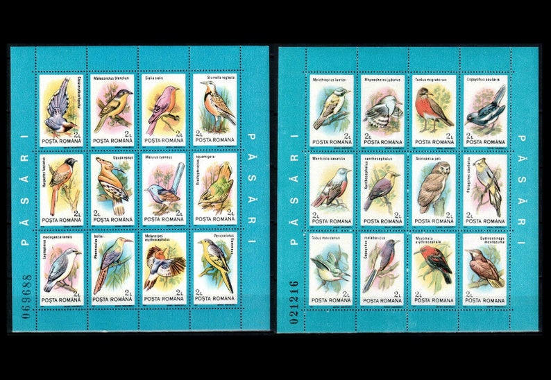1991 Birds of the World Postage Stamp Sheets Woodpecker Robin Thrush Passerine Owl Magpie Flycatcher Blackbird Meadowlark Hoopoe