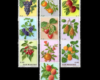 Vintage Fruit and Berry Postage Stamps / 1973 San Marino / Strawberry, Apple, Plum, Grape, Apricot, Peach, Pear, Red Currant, Gooseberry