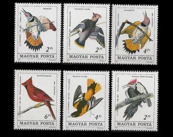 Hołd dla Audubona na znaczkach pocztowych z ptakami z 1985 r. / Wilga, Dzięcioł, Kardynał, Dzięcioł, Jemiołuszka / Kolekcja znaczków, Projekt szkolny, Sztuka kolażu