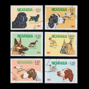 Imagens de cães em selos postais antigos da Nicarágua de 1982 / Boxer, Setter Inglês, Pointer, Brittany, Pastor Alemão e Cocker Spaniel.
