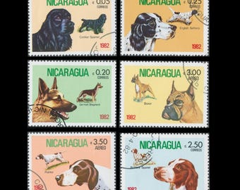 Imágenes de perros en sellos postales antiguos de Nicaragua de 1982: bóxer, setter inglés, pointer, bretón, pastor alemán y cocker spaniel.