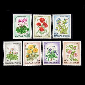 May include: A collection of seven postage stamps featuring colorful floral illustrations. The stamps showcase various flowers, including poppies, cyclamen, and violets, with text in Hungarian. The stamps are set against a black background.