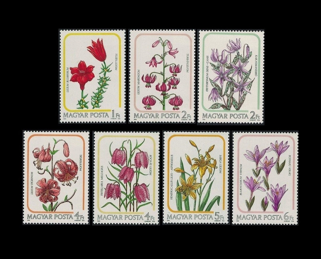 7 Flower Stamps From 1985 Hungary / Postage for Collections, Collage ...