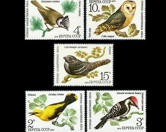 Forest Birds on 1979 Russian Postage / Golden Oriole, Barn Owl, Spotted Woodpecker, Crested Tit, Nightjar / Stamp Collection, Collage Paper