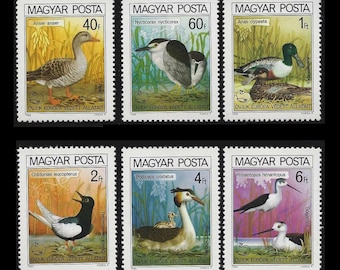 Water Birds on Vintage Stamps / Northern Shoveler, Black-Winged Stilt, Night Heron, Great Crested Grebe, Greylag Goose, White-Winged Tern