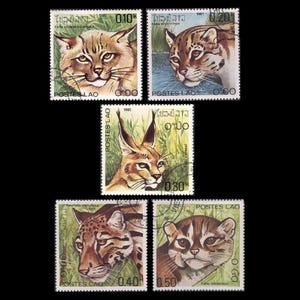May include: Five postage stamps from Laos, depicting detailed illustrations of wild cats. The stamps feature different species with varying colors and patterns, set against natural backgrounds. Each stamp has a denomination in the local currency.