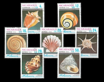 Shells of the World on 1988 Nicaragua Postage Stamps / Star Turban, Land Snail, Gaudy Frog, Fighting Conch, Giant Sundial / Collage Fodder