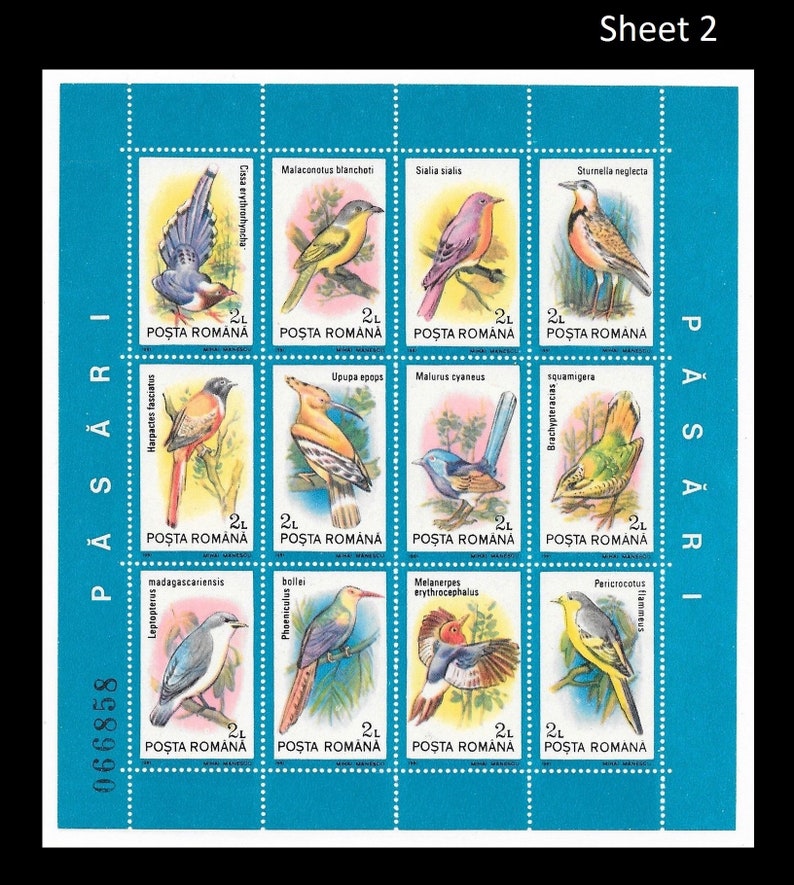 1991 Birds of the World Postage Stamp Sheets Woodpecker Robin Thrush Passerine Owl Magpie Flycatcher Blackbird Meadowlark Hoopoe