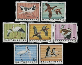 Birds of Hortobagy National Park / 1977 Hungary Postage Stamps / Crane, Stork, Heron, Spoonbill, Wagtail, Bustard / Nature Crafts Collage