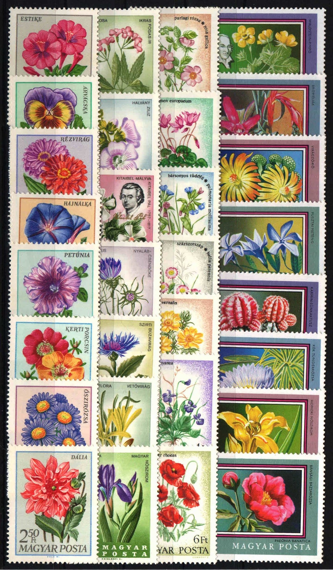 Huge Collection of Flower Postage Stamps / 4 Series of Vintage Hungary
