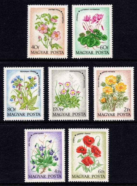 Vintage set of 5 Soviet flowers postage stamps USSR floral postage stamps  Post stamps 1973