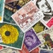 RubyDog's Post Office