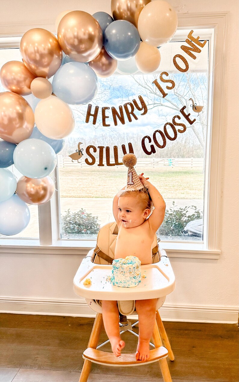 K&ouml;nnte beinhalten: Ein Babyjunge tr&auml;gt eine braune und wei&szlig;e karierte Geburtstags-M&uuml;tze mit einem wei&szlig;en Bommel obenauf und sitzt in einem Hochstuhl mit einem blau-wei&szlig;en, glasierten Kuchen vor sich. Ein Banner hinter dem Baby lautet "Henry is one Silly Goose" mit einer braunen G&auml;nse-Illustration auf jeder Seite. Das Banner ist mit einem blauen, beigen und kupferfarbenen Ballonbogen aufgeh&auml;ngt.