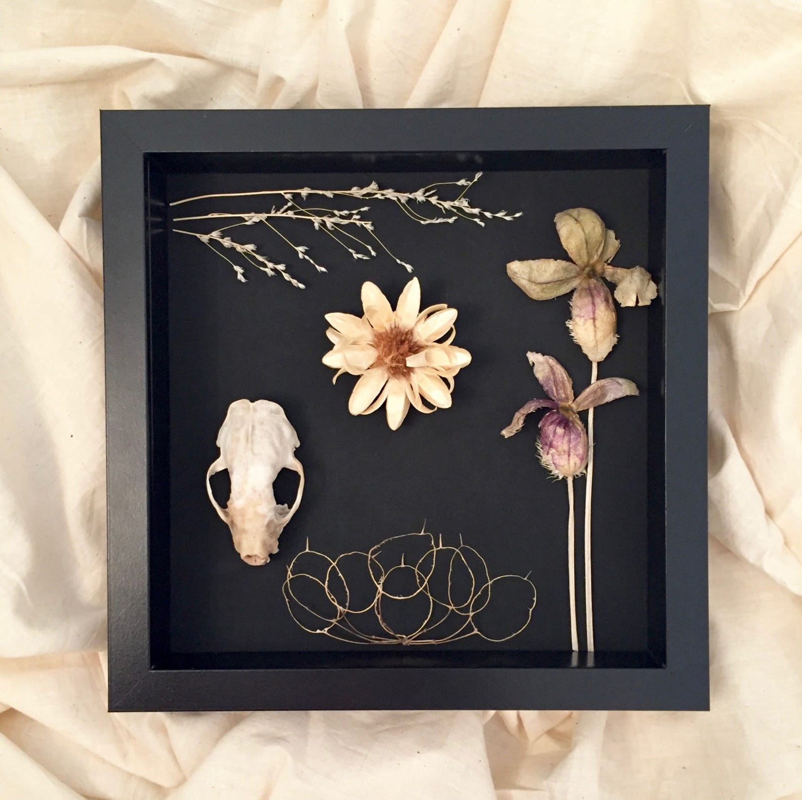 Skull & Flowers Shadowbox Natural Sciences Found Object Etsy