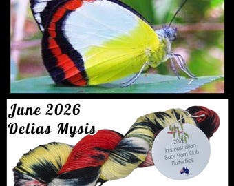 JUNE Sock Yarn Club 2026 – Australian Butterflies Merino Nylon 4ply (100g)