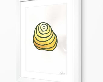 Kleuronderzoek huisdiersteen: geel