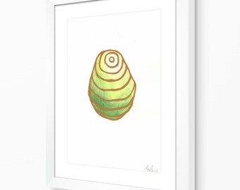 Kleuronderzoek huisdiersteen: groen