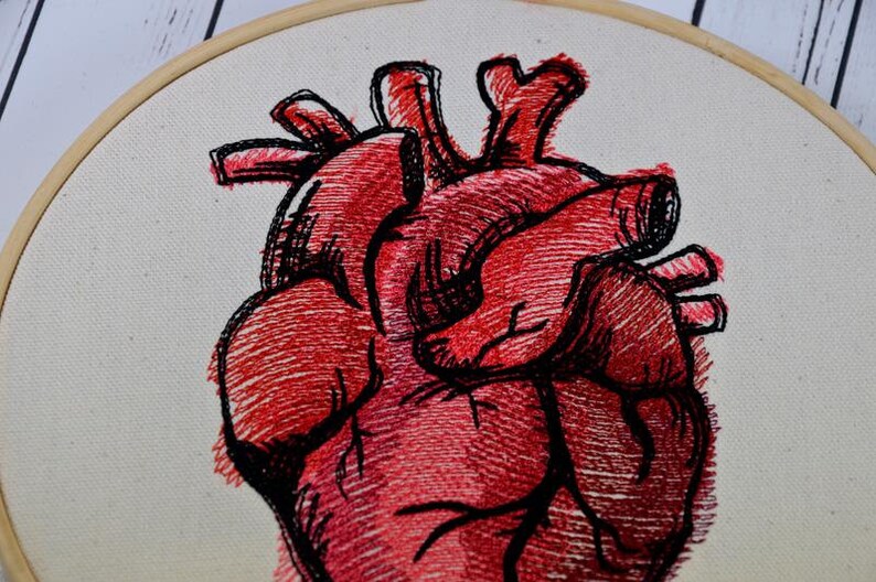 Вышивка гладью сердце анатомическое схема