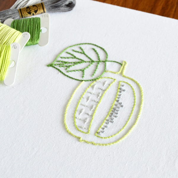 Carved Kiwi, a modern hand embroidery pattern of fruit