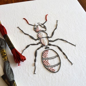 Anatomical Ant, a lifelike embroidery pattern for an insect image 1