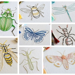 Anatomical Insects, 8 designs in one embroidery pattern for a lifelike ant, bee, beetle, butterfly, dragonfly, mantis, moth and wasp