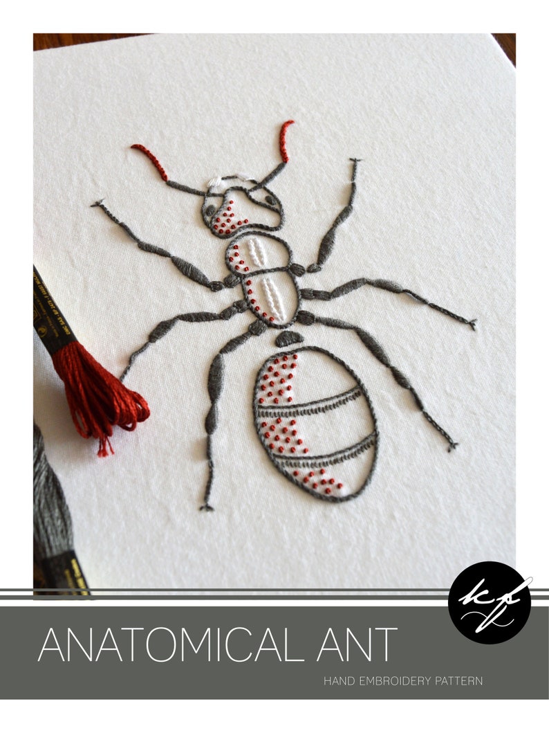 Anatomical Ant, a lifelike embroidery pattern for an insect image 2