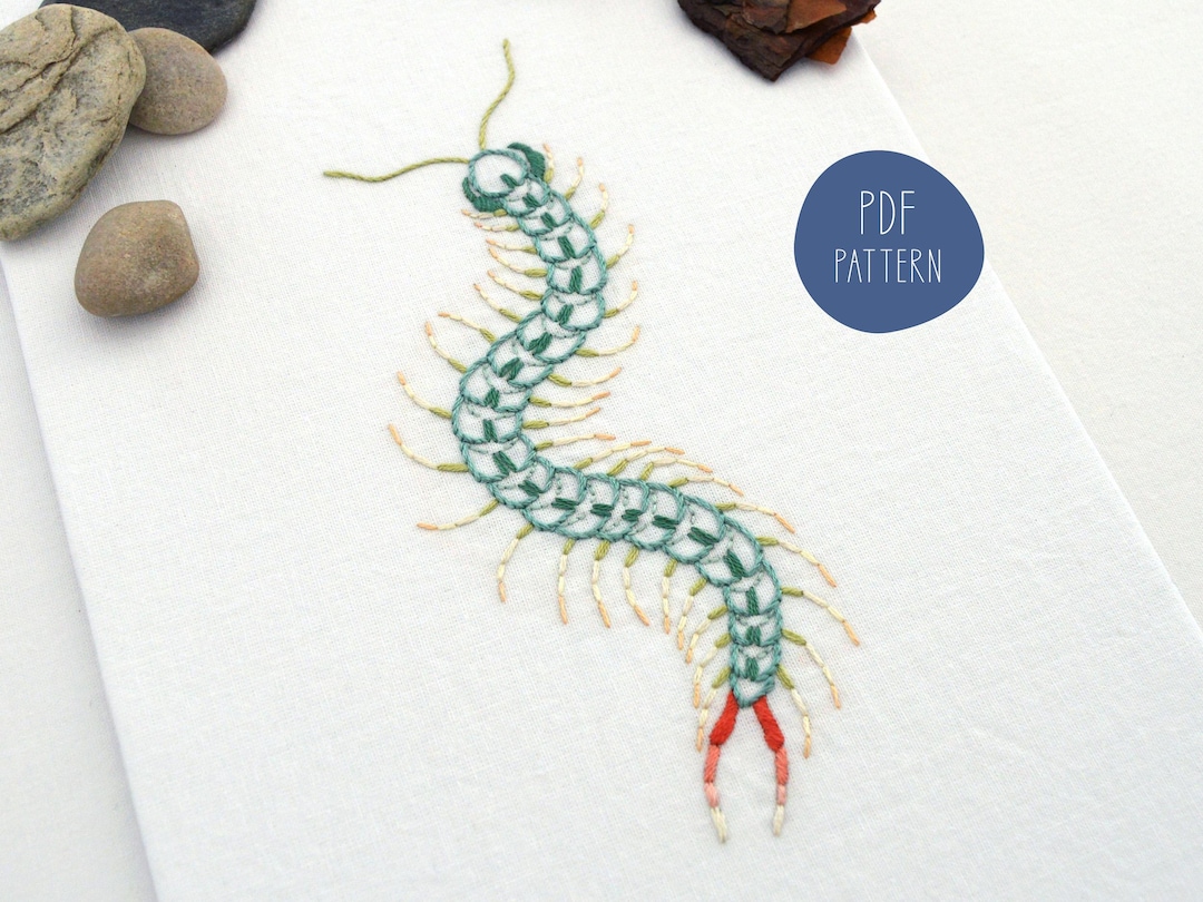 Anatomical Centipede Embroidery Pattern PDF, a Digital Download for ...