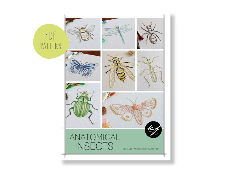 Anatomical Insects, 8 Designs for a Lifelike Ant, Bee, Beetle ...