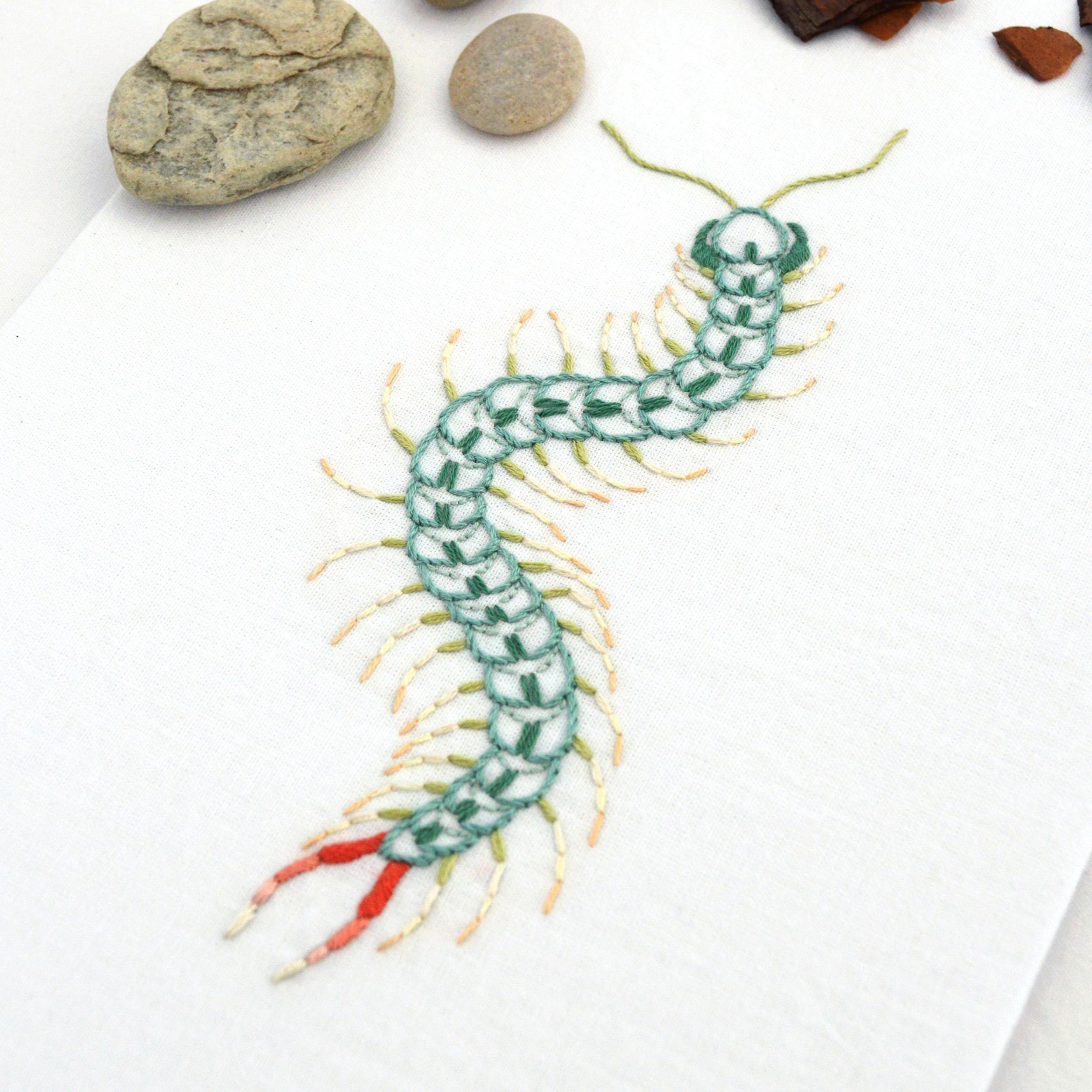 Anatomical Centipede, a Hand Embroidery Design Using Innovative Stitch ...