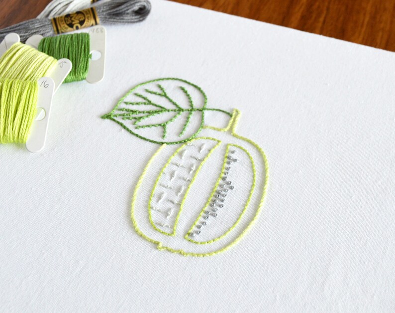 Carved Kiwi Hand Embroidery Pattern a Modern Embroidery Etsy