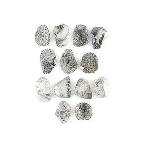 1.01 Ct Natural Loose Slice Shape Diamond Slice Salt And Pepper Diamond 3.05 MM Slice Natural Loose Diamond Slice Black Grey Diamond LQ3032