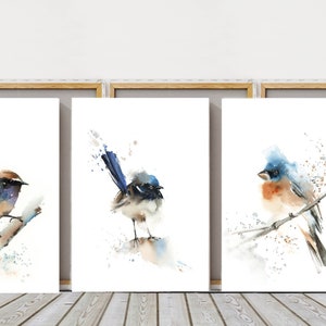 Set of 3 Bird Canvas Prints, Fairy Wren Painting, Robin Bird Wall Art, Watercolor Painting, Framed Wall Art, Bird Nature Wall Art Decor Set