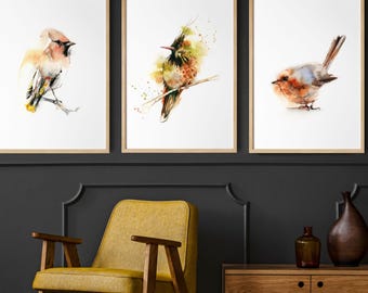 Canvas Prints 3 Set of Birds, Hummingbird Robin and Waxwing Painting, Bird Watercolor Prints