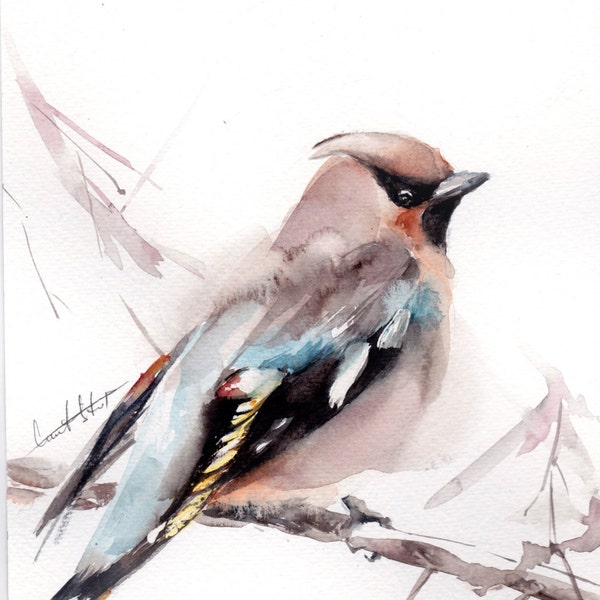 Original Watercolor Painting, Waxwing Bird on a Branch, Bird Watercolour Art