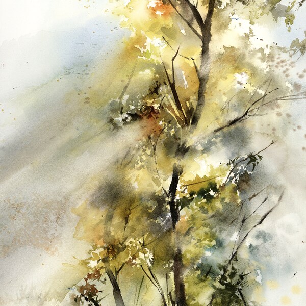 Light in a Forest Original Watercolor Painting, Tree Watercolour Painting from nature in White River National Park in MN