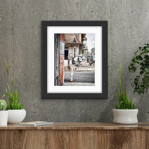 Lafitte&#39;s Mule Fine Art Photograph: New Orleans French Quarter Print