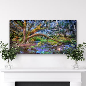 New Orleans City Park Oaks: Louisiana Landscape Wood Panel Art