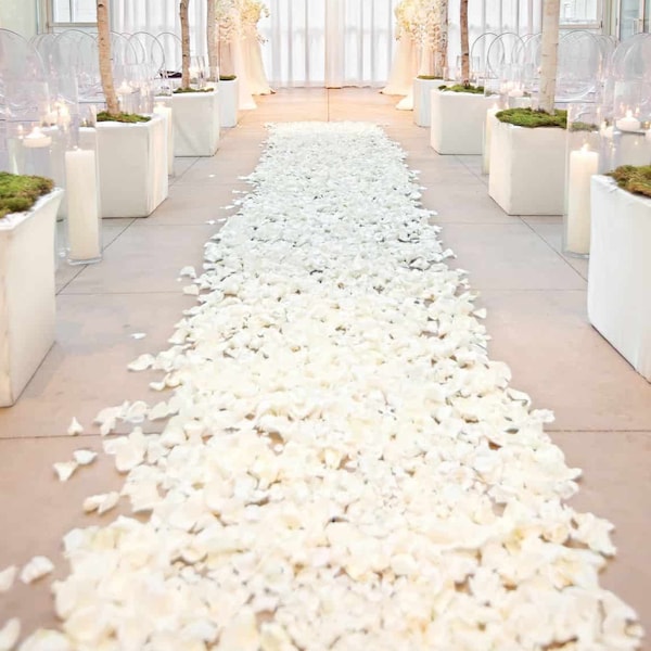 Ivory Rose Petals, Silk Rose Petals, DIY Rose Petal Aisle Runner, Flower Girl Petals, Petal Toss, Wedding Petals