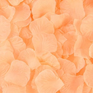 Light Peach Rose Petals, Silk Rose Petals, Rose Petal Aisle Runner, Flower Girl Petals, Petal Toss, Wedding Petals
