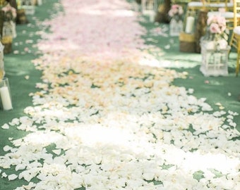 Garden Wedding Silk Rose Petals Set DIY Rose Petal Aisle Runner, Flower Girl Petals, Petal Toss, Wedding Petals - Ivory Peach Blush