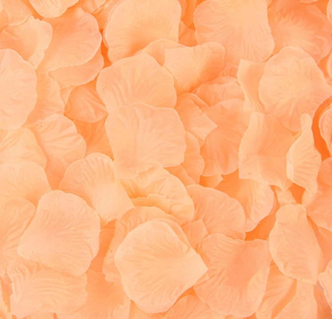 Light Peach Rose Petals Silk Rose Petals Rose Petal Aisle - Etsy