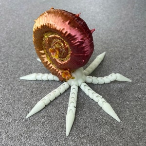 Anne the Ammonite