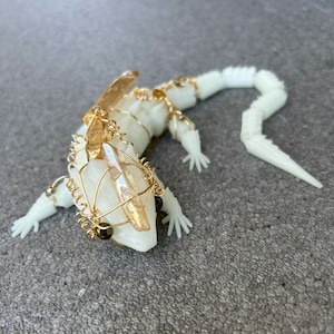 Crocodile Skink Lizard