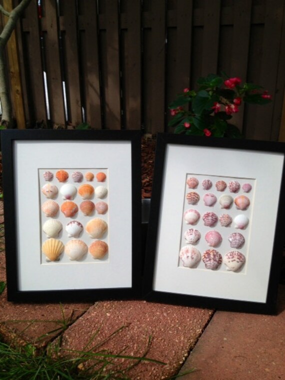 Items similar to Framed Seashell Wall Art on Etsy