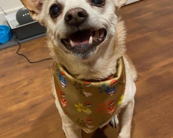 Eeveelutions Pet Bandanas