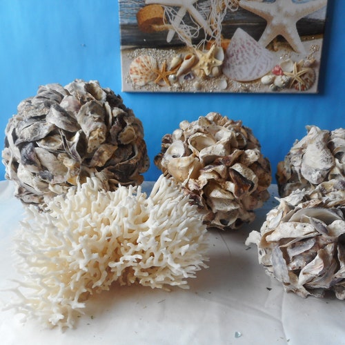 Oyster Ballshell Balloyster Boxseashell Balldecorative Etsy