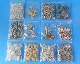 Tiny/Small SeaShells For Crafts -Cut Shells and Shell Mixes-Huge Variety
