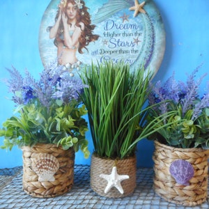 May include: Three woven baskets with lavender and green plants. The baskets are decorated with seashells and a starfish. The background is a blue wall with a round sign that says "Dream Higher than the Stars and Deeper than the Ocean".